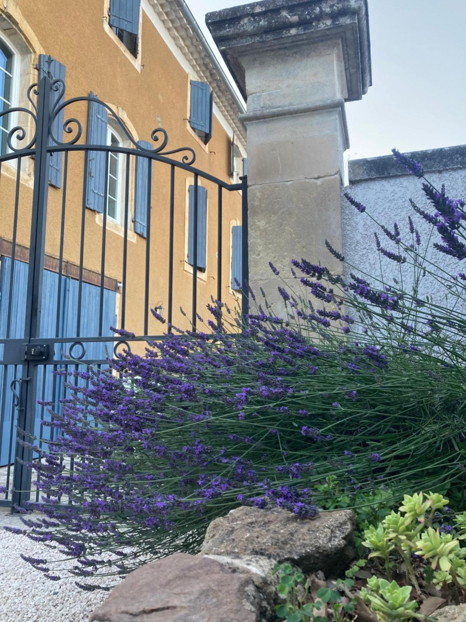 Bed and Breakfast Domaine Forvent à Saint-Julien-de-Peyrolas Extérieur photo
